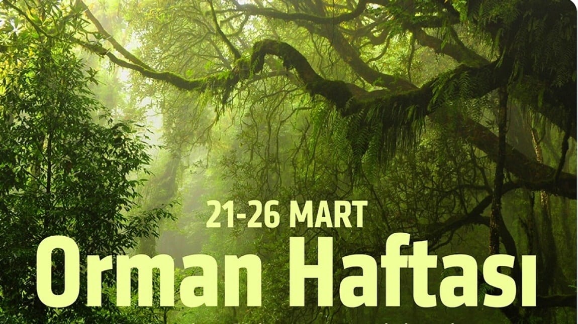 Orman Hafatası
